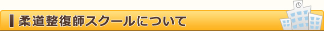 柔道整復師スクールについて